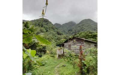 Oxyzen Formation - Guadeloupe